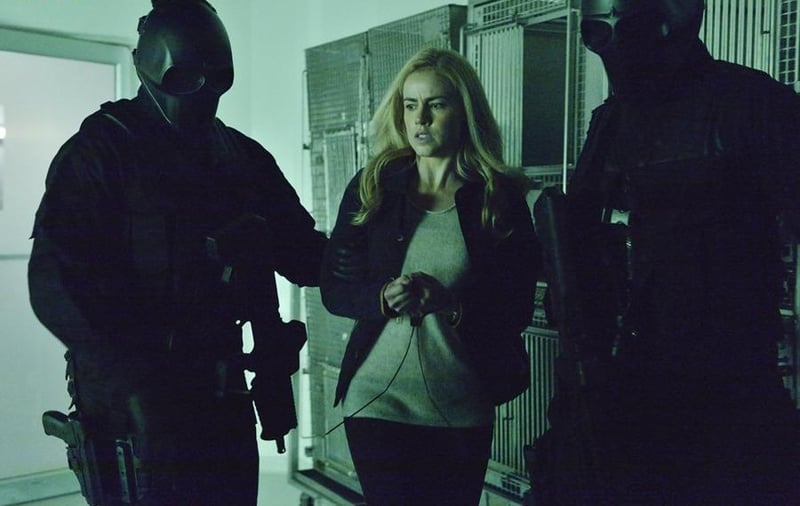 12 Monkeys : Bild Amanda Schull