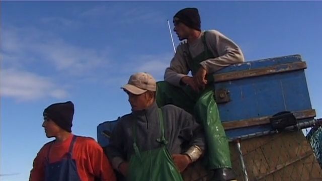 Rabo de Peixe : Bild