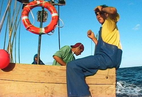 Rabo de Peixe : Bild