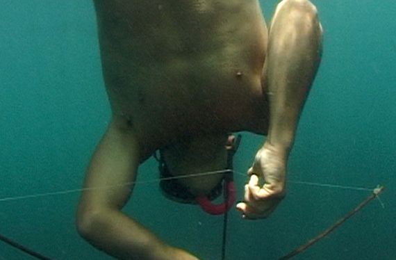 Rabo de Peixe : Bild