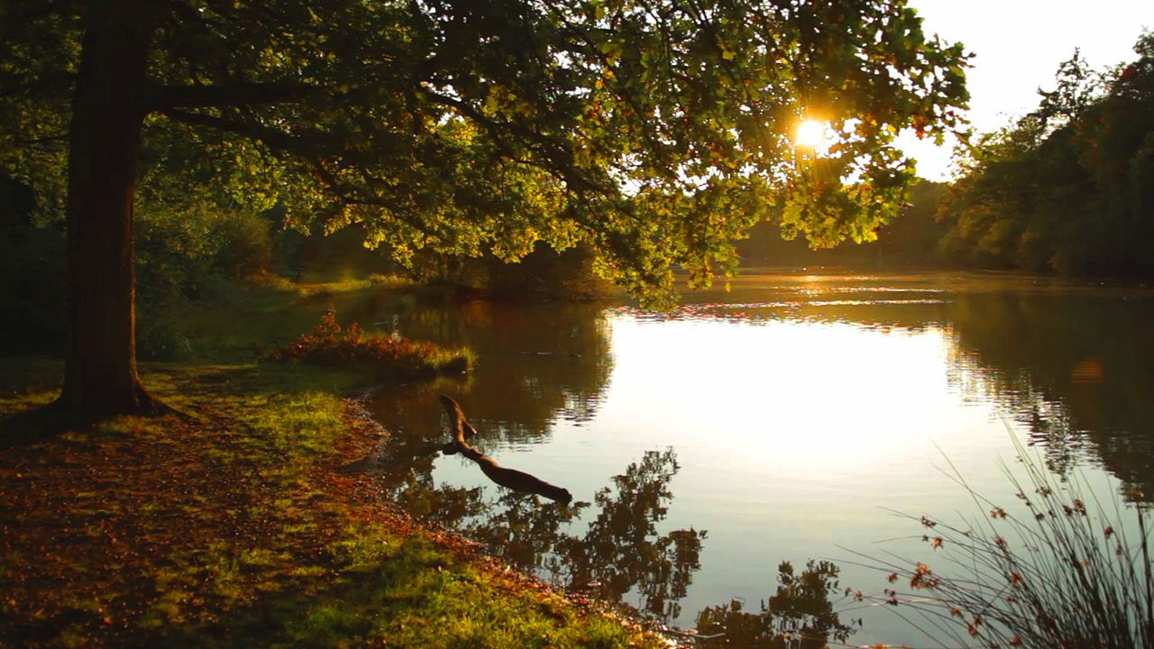 Compostelle, le chemin de la vie : Bild