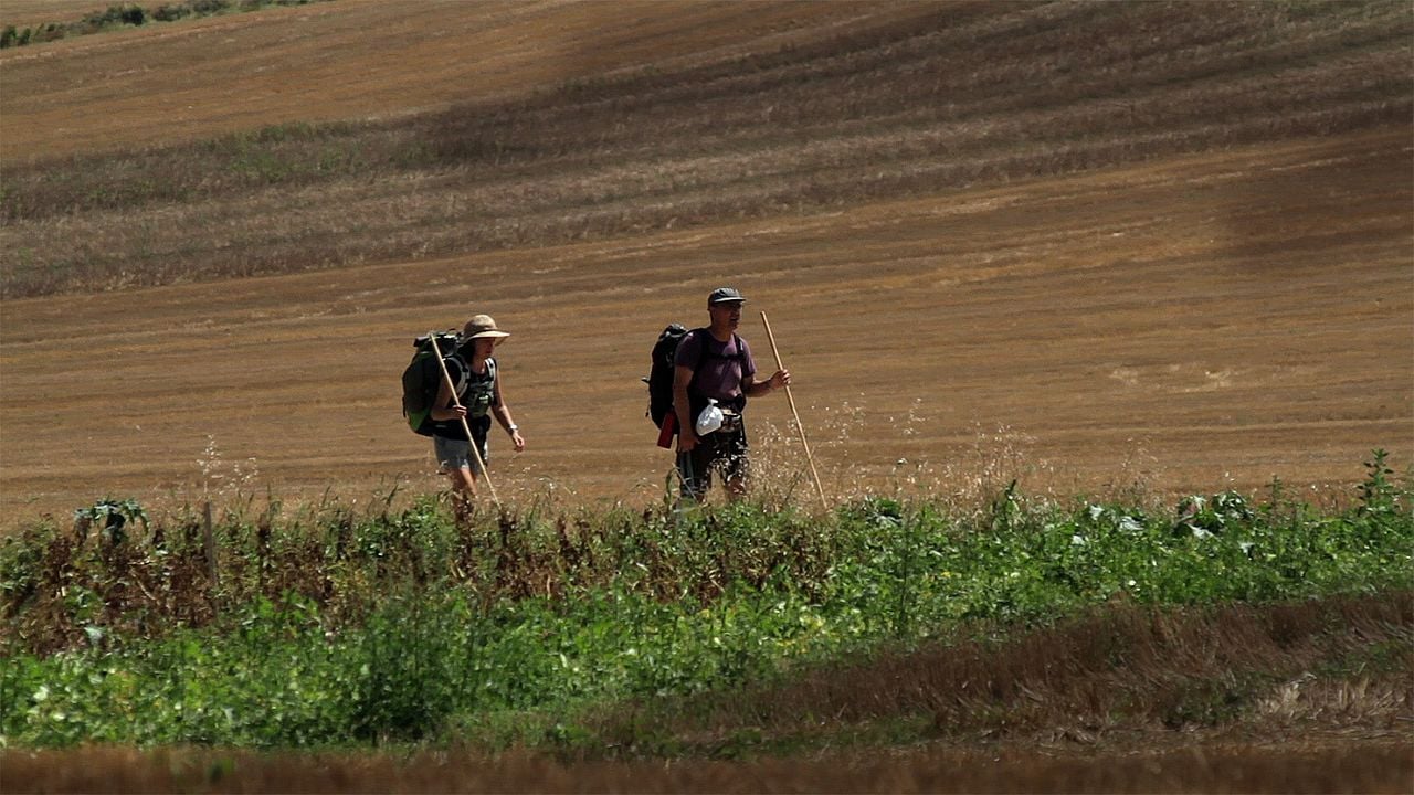 Compostelle, le chemin de la vie : Bild