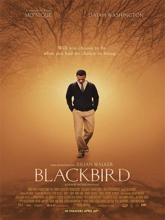 Blackbird : Kinoposter