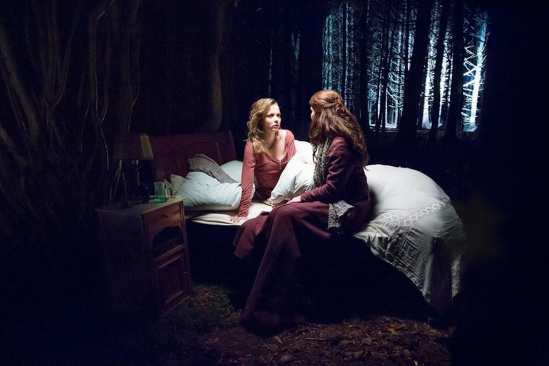 Schattenwald : Bild Josephine Ehlert, Tinka Kleffner