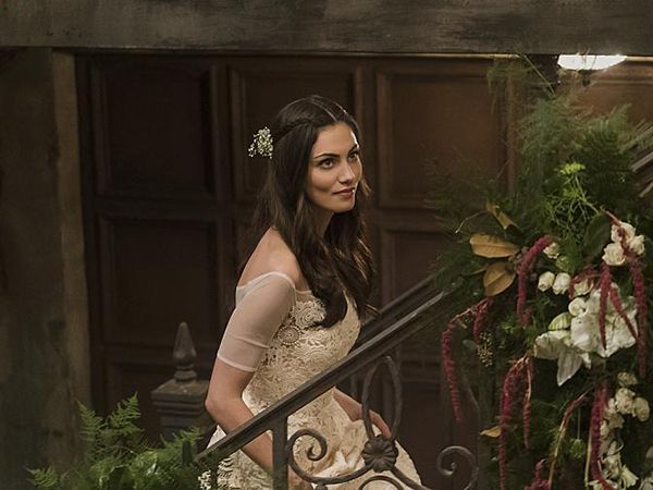 Bild Phoebe Tonkin