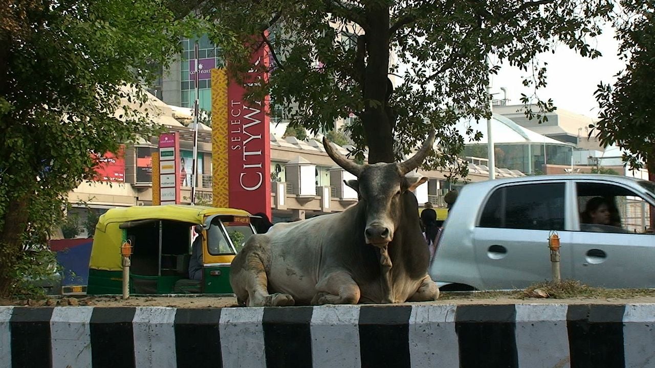 En quête de sens : Bild