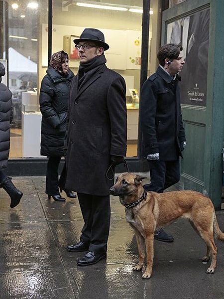 Person Of Interest : Bild Michael Emerson