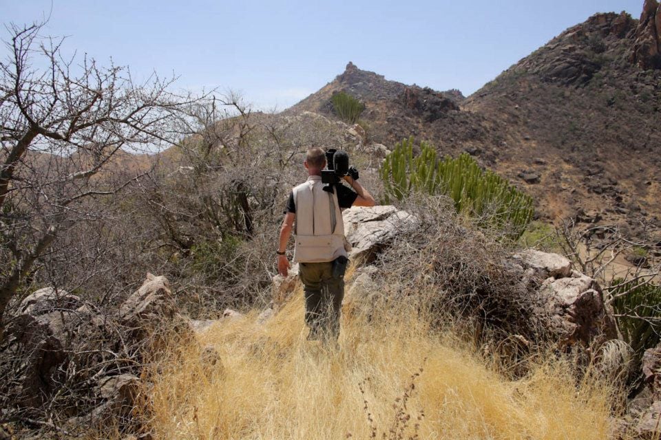 Madina's Dream : Bild