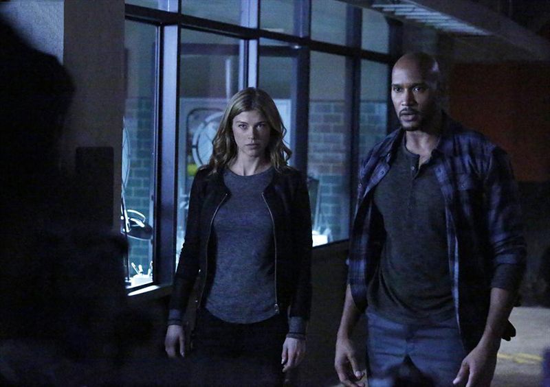 Marvel's Agents Of S.H.I.E.L.D. : Bild Henry Simmons, Adrianne Palicki