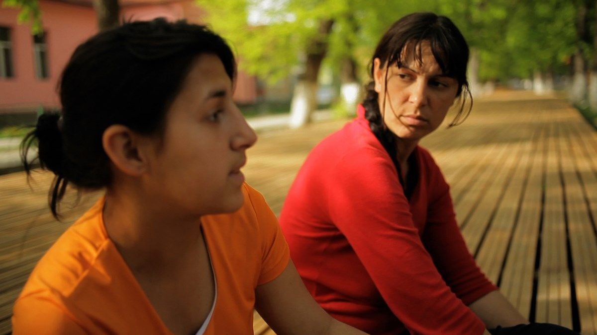 Der Wald ist wie die Berge : Bild