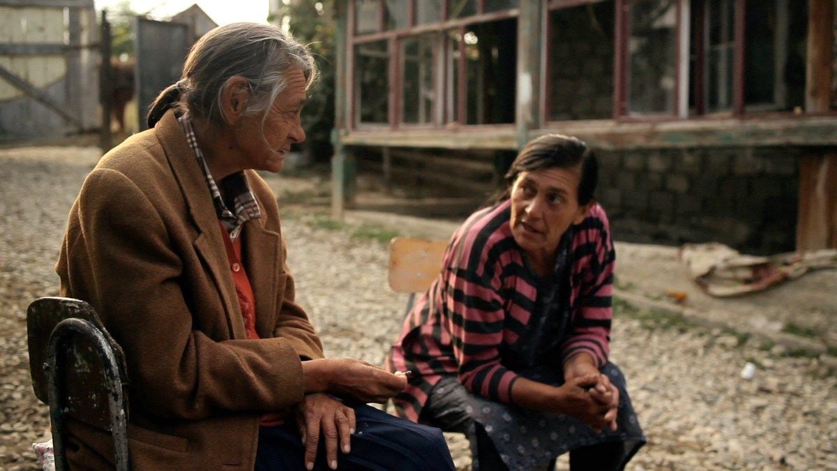 Der Wald ist wie die Berge : Bild