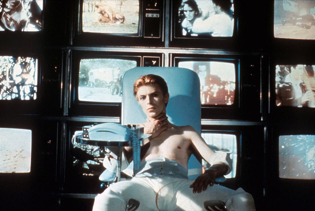 Der Mann, der vom Himmel fiel : Bild David Bowie