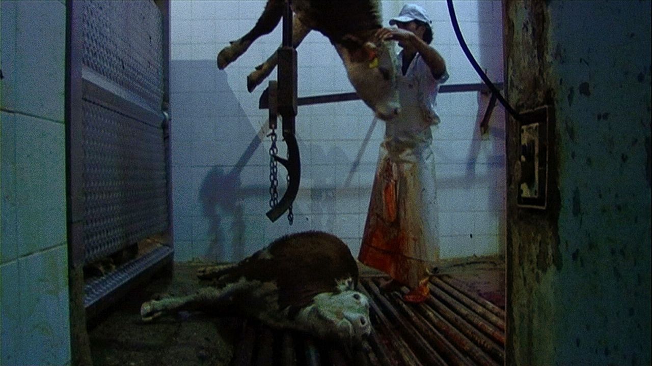 Sangre de mi sangre : Bild