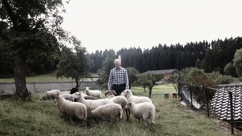 Silentium - Vom Leben im Kloster : Bild