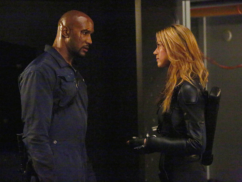 Marvel's Agents Of S.H.I.E.L.D. : Bild Henry Simmons, Adrianne Palicki