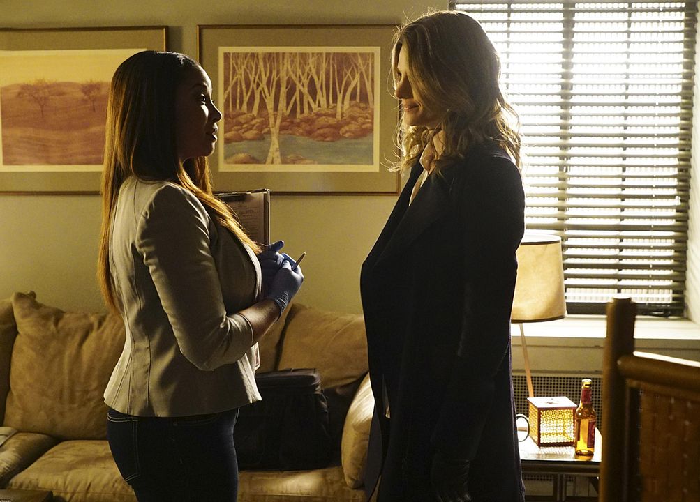 Bild Stana Katic, Tamala Jones
