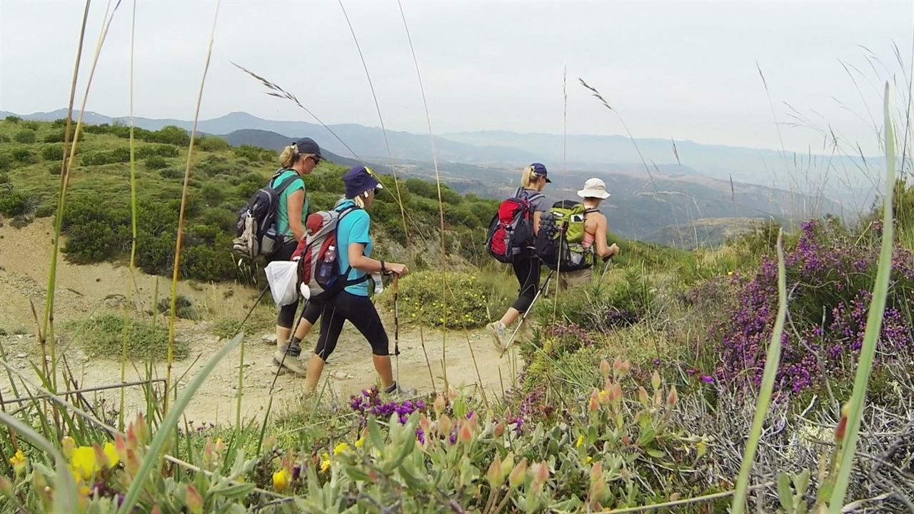 Camino de Santiago : Bild