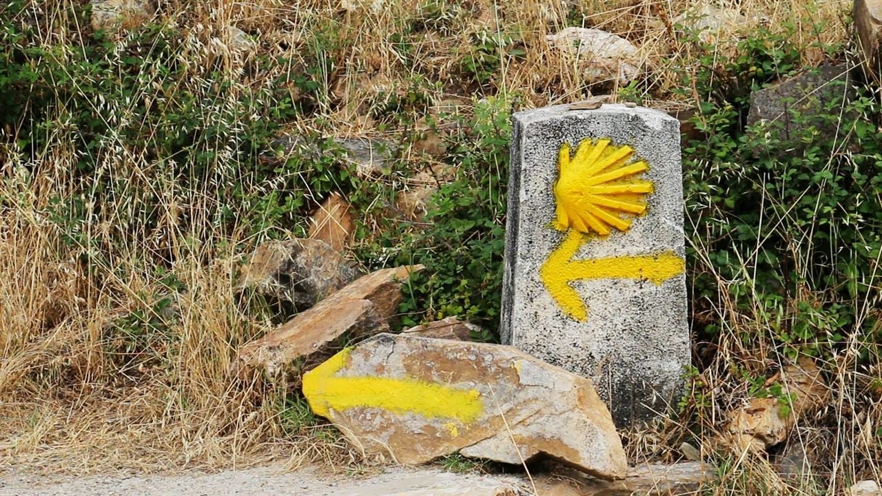 Camino de Santiago : Bild