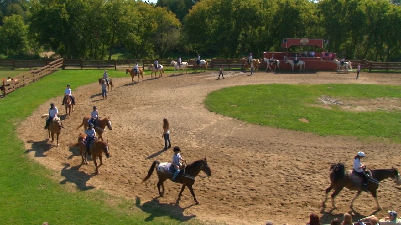 Ferien auf dem Reiterhof : Bild