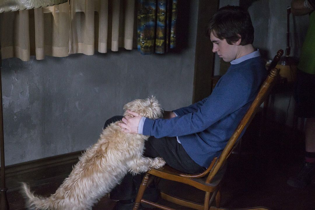 Bates Motel : Bild Freddie Highmore
