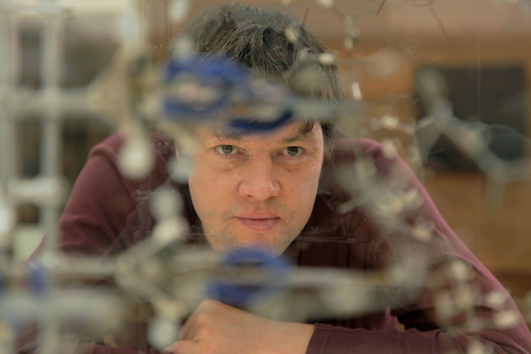 Das dunkle Gen : Bild