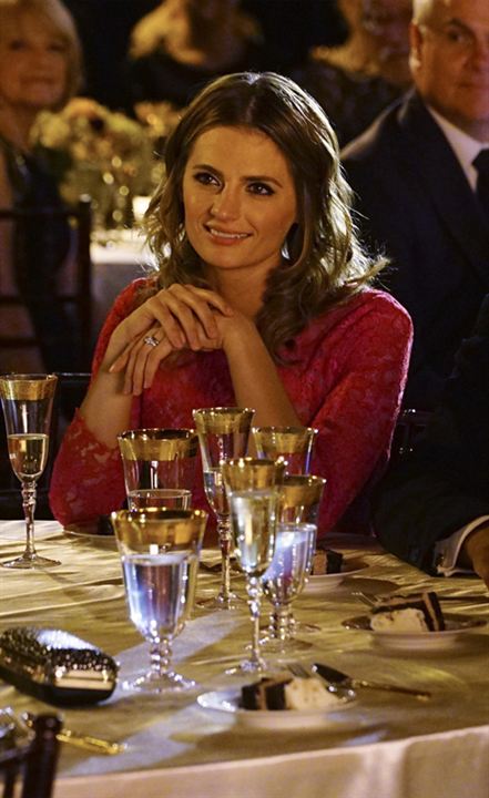 Bild Stana Katic