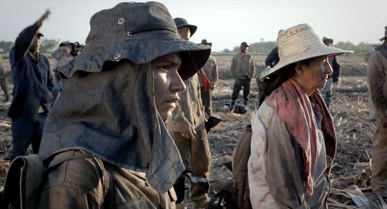 La Tierra y la Sombra : Bild