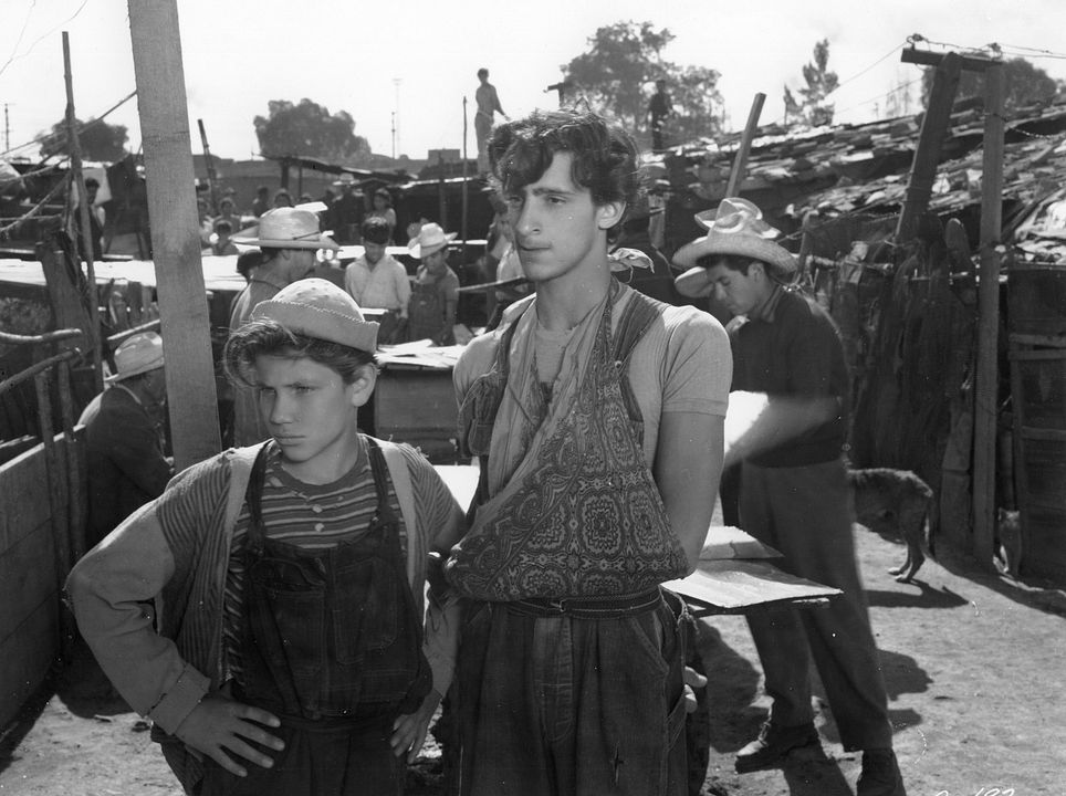 Die Vergessenen : Bild