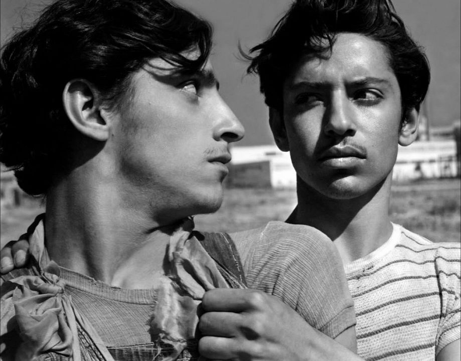 Die Vergessenen : Bild