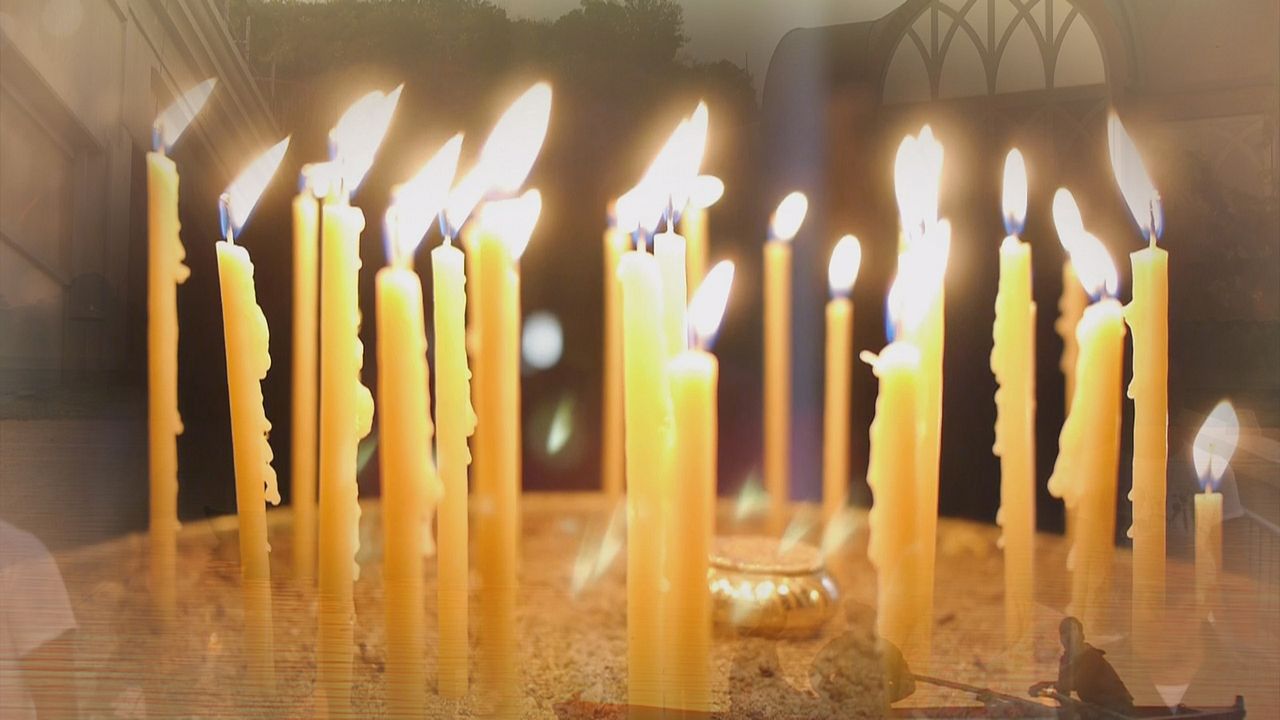 Wunder der Lebenskraft - Eine Reise zur Heilung der Seele : Bild