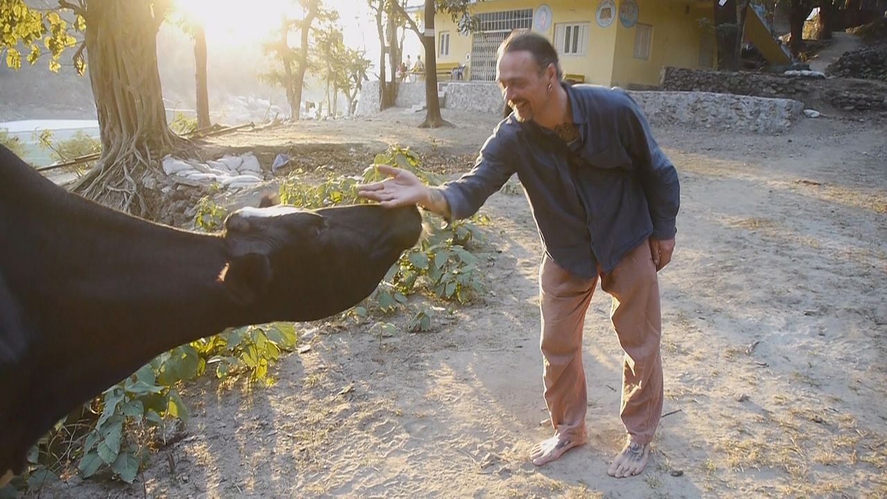 Wunder der Lebenskraft - Eine Reise zur Heilung der Seele : Bild Sundar Prins