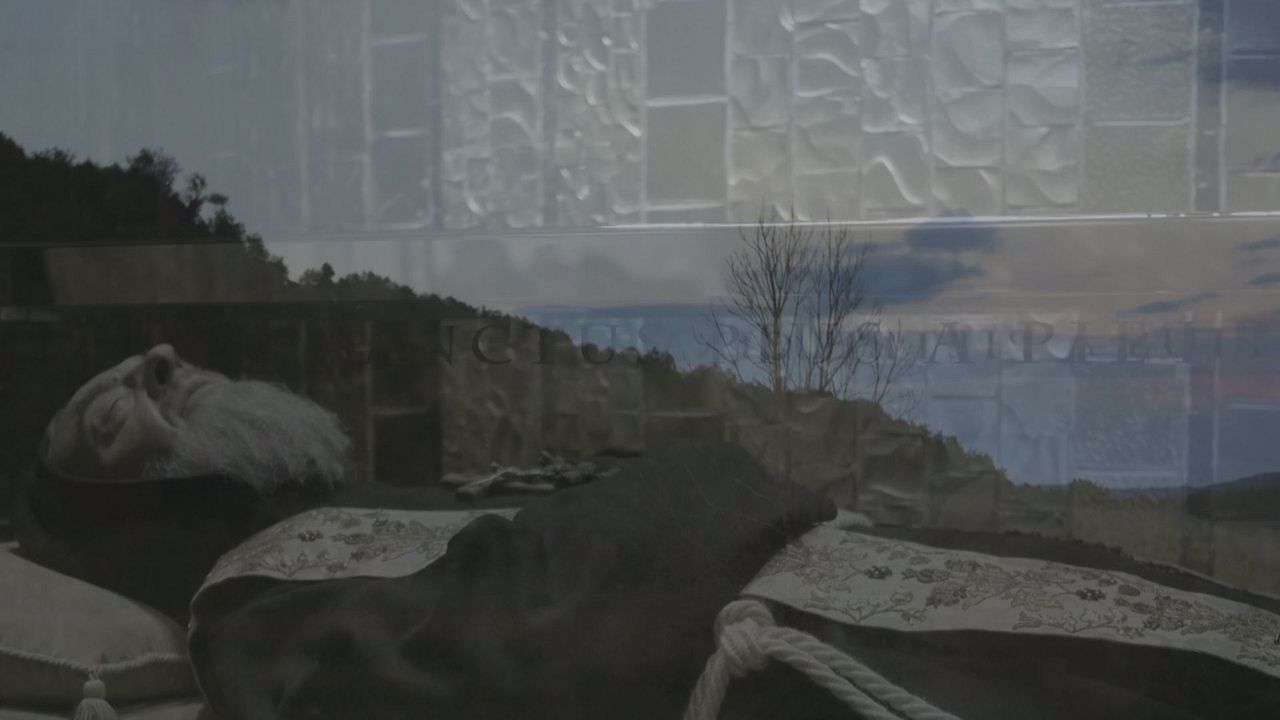 Wunder der Lebenskraft - Eine Reise zur Heilung der Seele : Bild