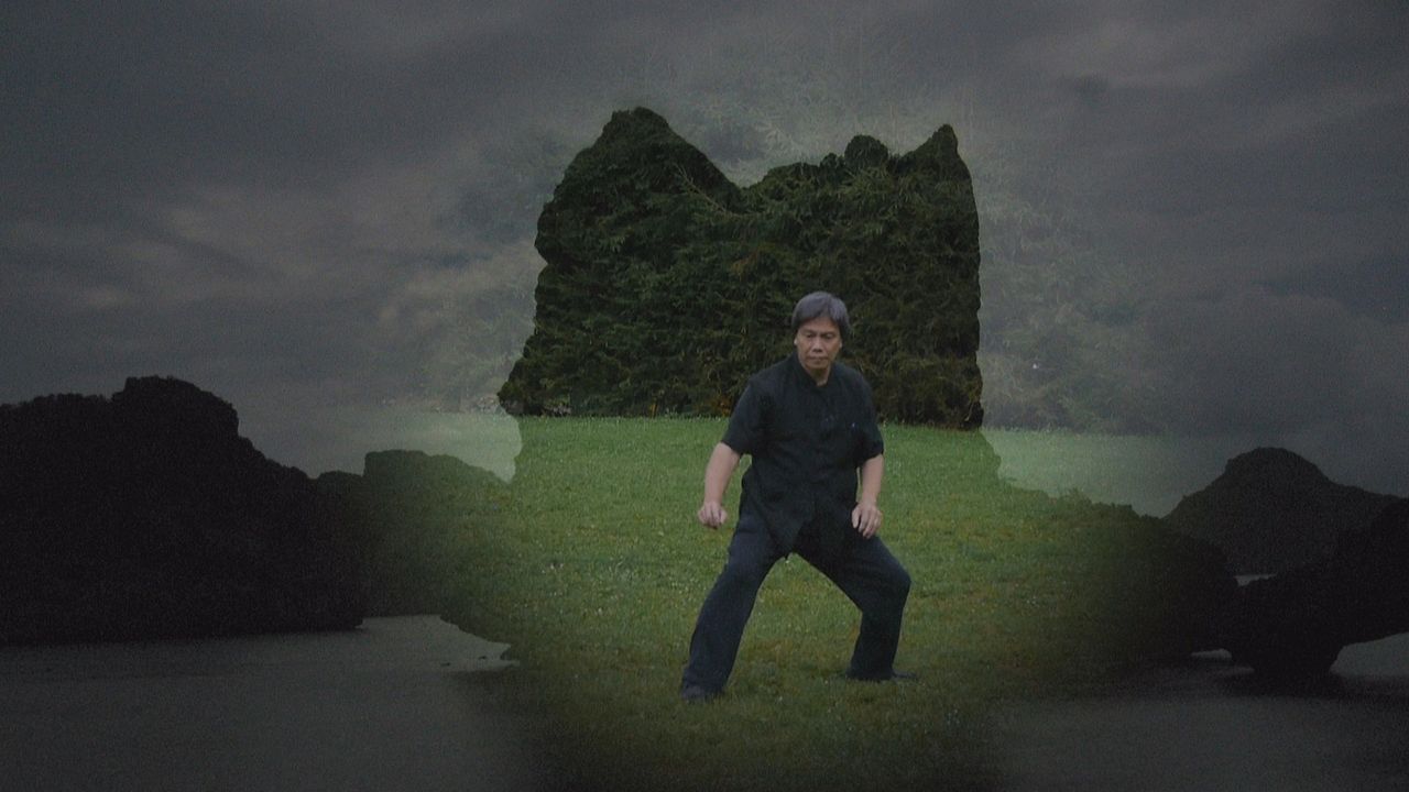 Wunder der Lebenskraft - Eine Reise zur Heilung der Seele : Bild ShiFu Shi DeLon