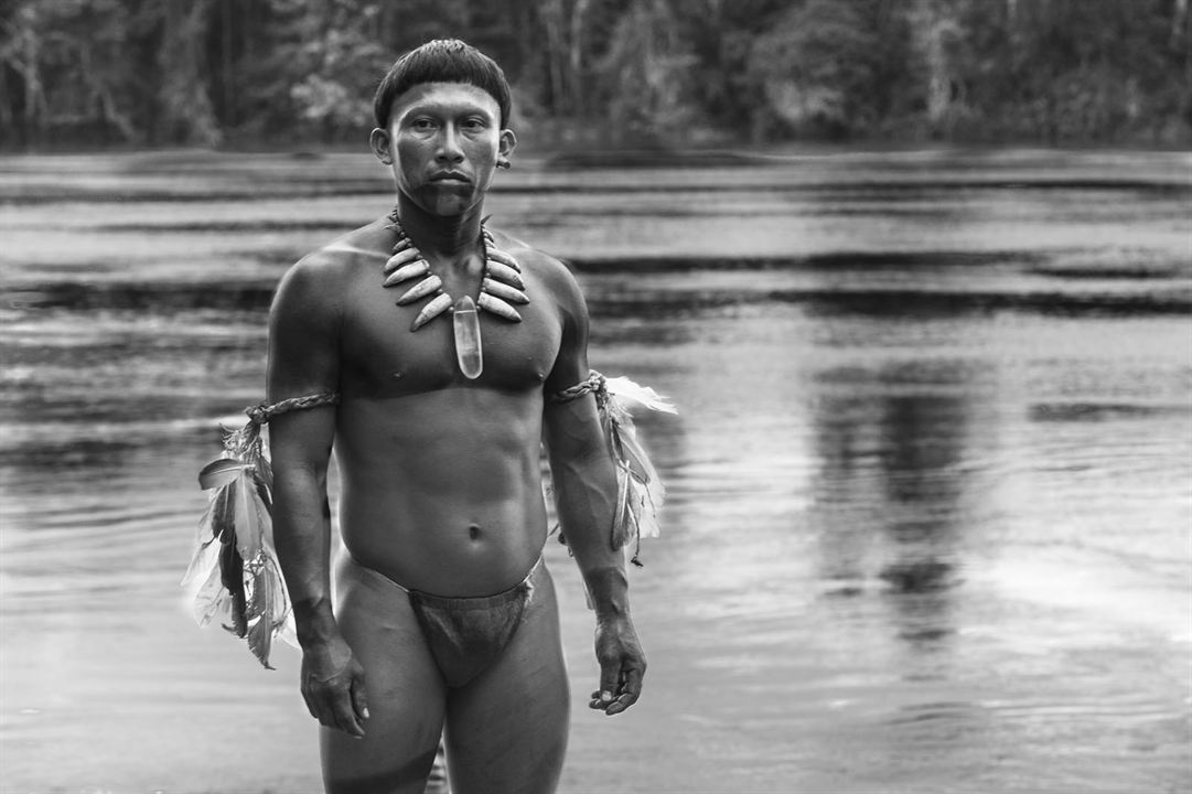 Der Schamane und die Schlange - Eine Reise auf dem Amazonas : Bild Nilbio Torres