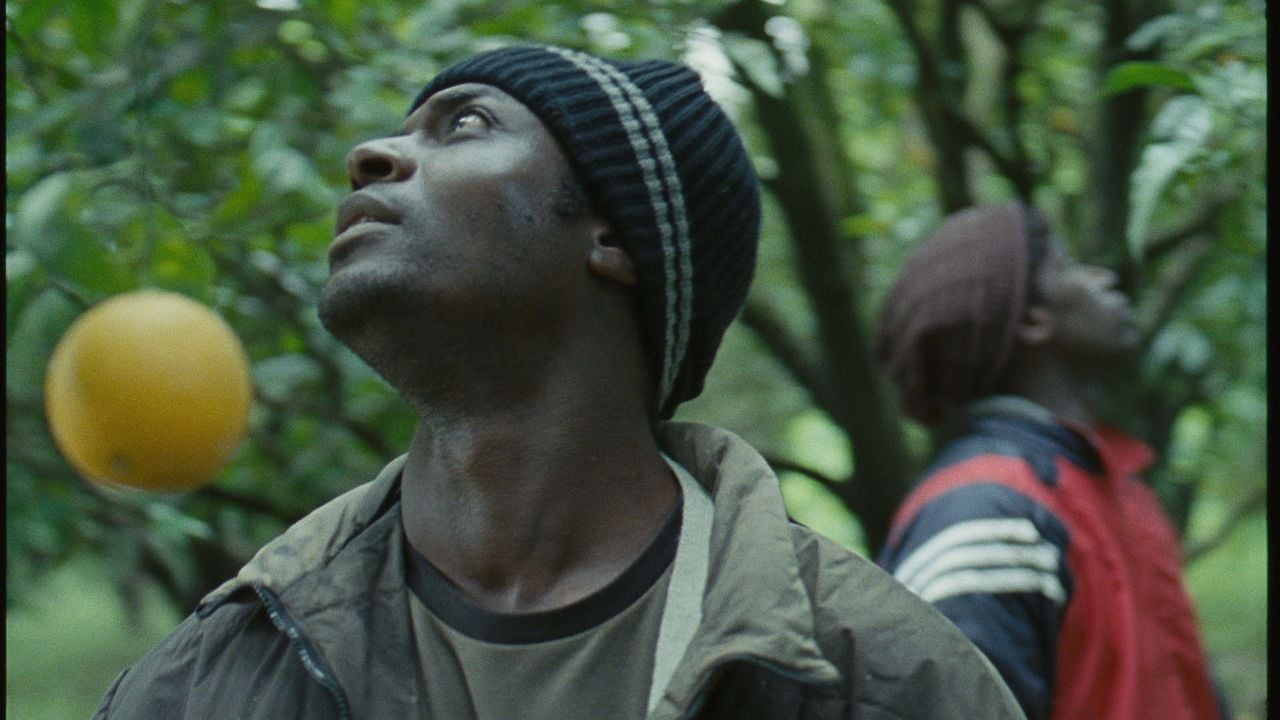 Mediterranea - Refugees welcome? : Vignette (magazine)