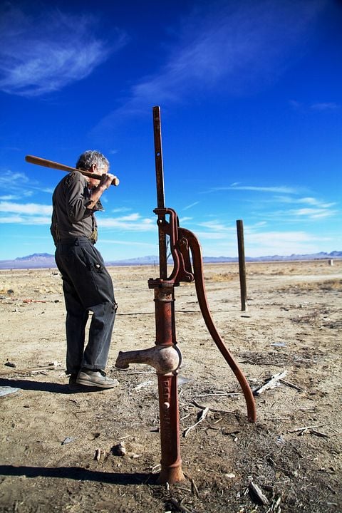 The Last Survivors : Bild