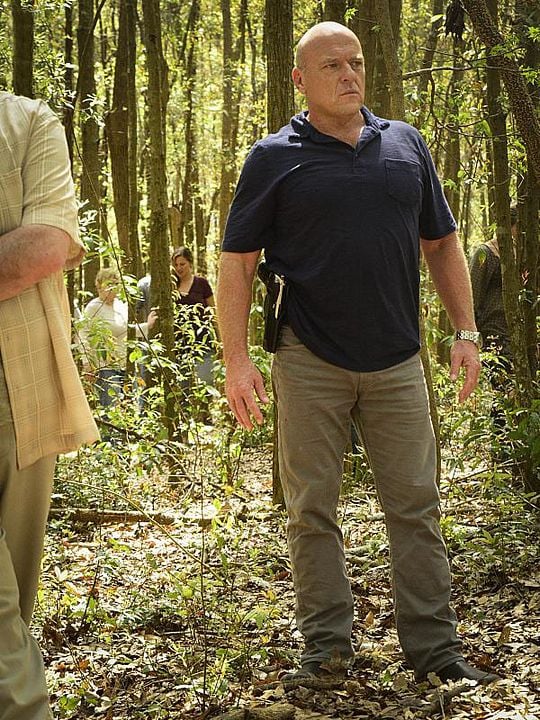 Under The Dome : Bild Dean Norris