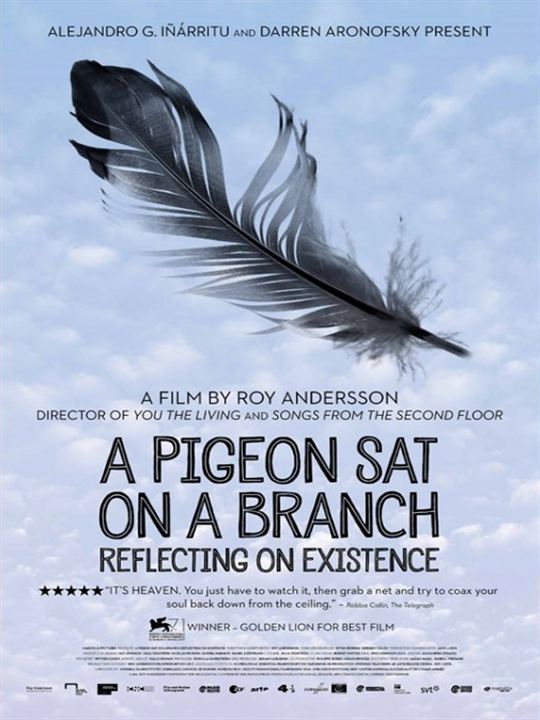 Eine Taube sitzt auf einem Zweig und denkt über das Leben nach : Kinoposter