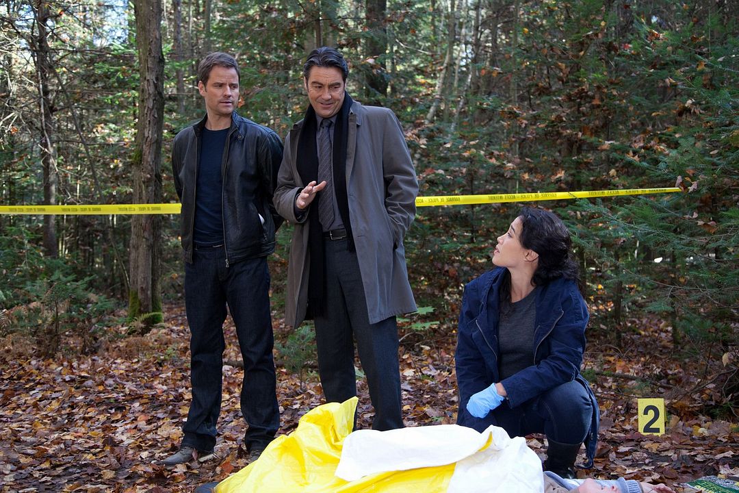 Inspector Gamache - Denn alle tragen Schuld : Bild