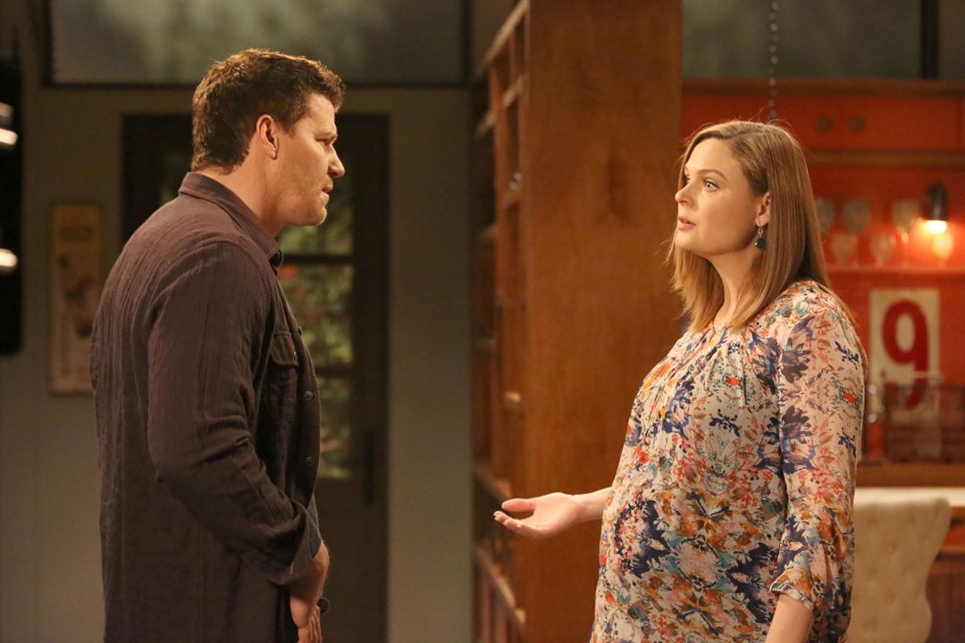 Bones - Die Knochenjägerin : Bild David Boreanaz, Emily Deschanel