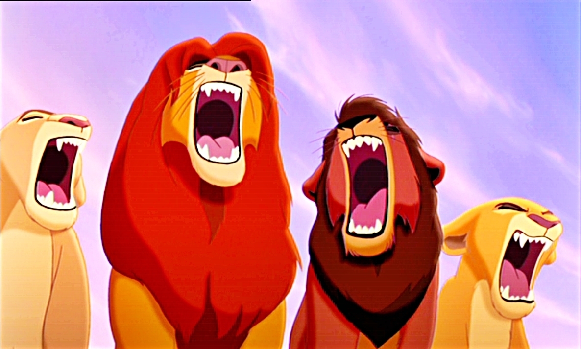 Der König der Löwen 2: Simbas Königreich : Bild