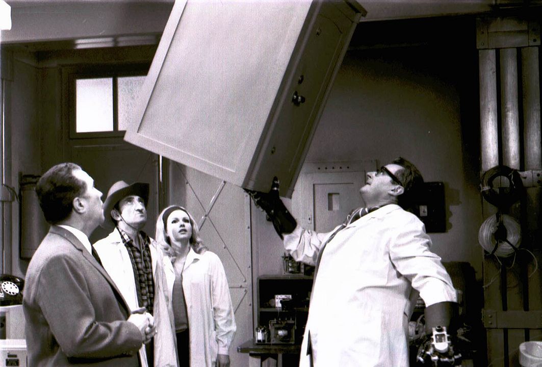 Wer will Jessie umbringen? : Bild