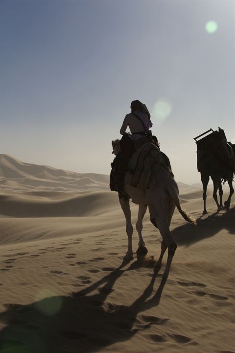 Königin der Wüste : Bild