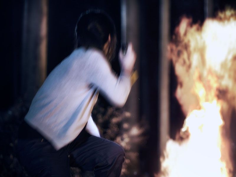 Lemon Tree Passage : Bild