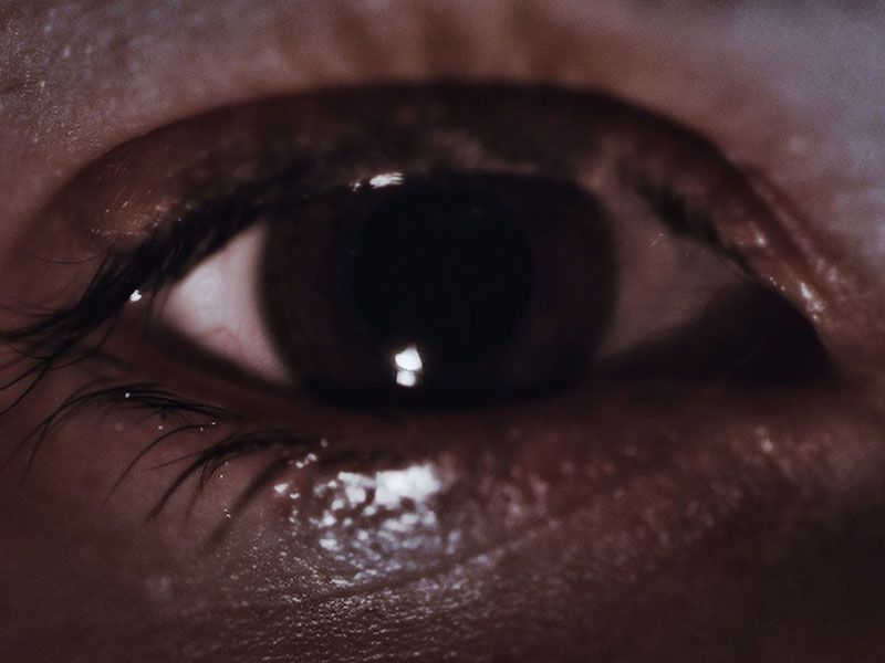 Lemon Tree Passage : Bild