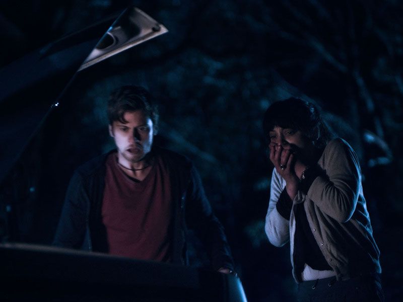 Lemon Tree Passage : Bild