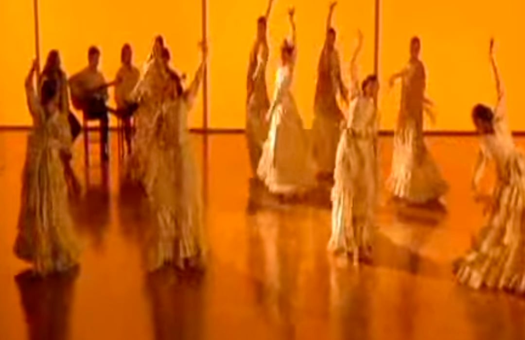 Flamenco : Bild