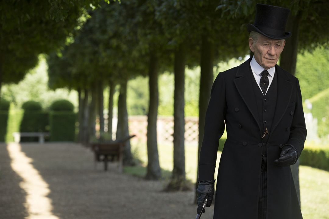 Mr. Holmes : Bild Ian McKellen