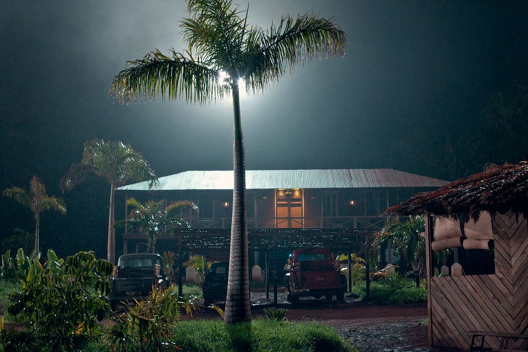 Palmen im Schnee - Eine grenzenlose Liebe : Bild