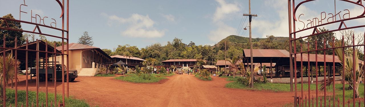 Palmen im Schnee - Eine grenzenlose Liebe : Bild